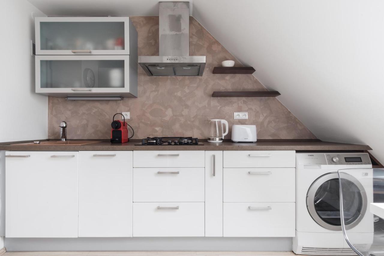 Attic Maisonette In Stresovice By Days Prague