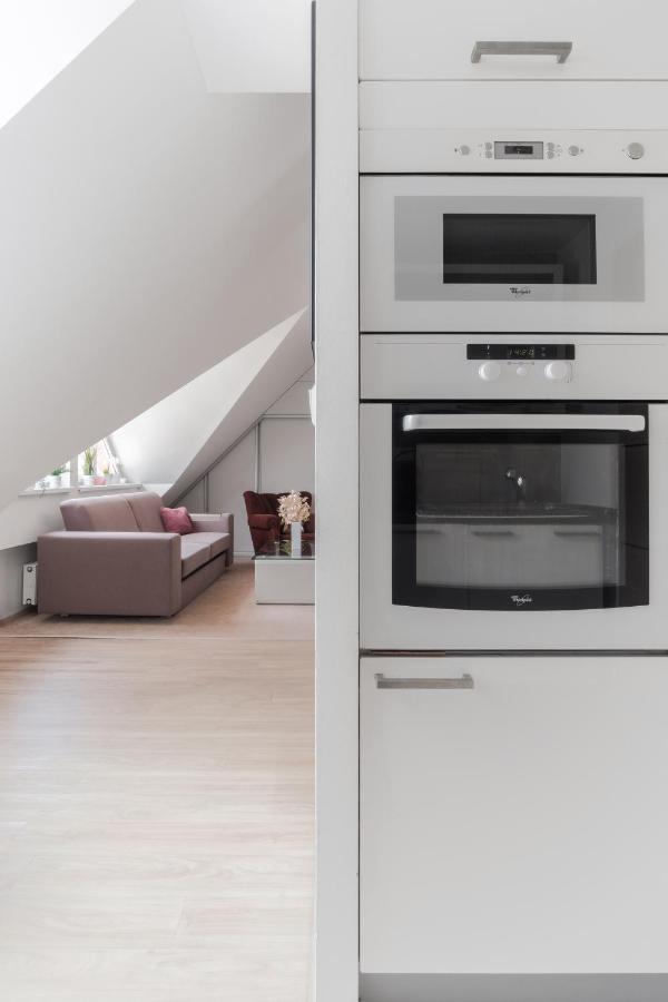 Attic Maisonette In Stresovice By Days * Praha